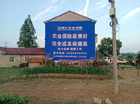 泸定墙体广告的优劣势你知道吗？