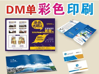 泸定单页印刷，色彩搭配简单。